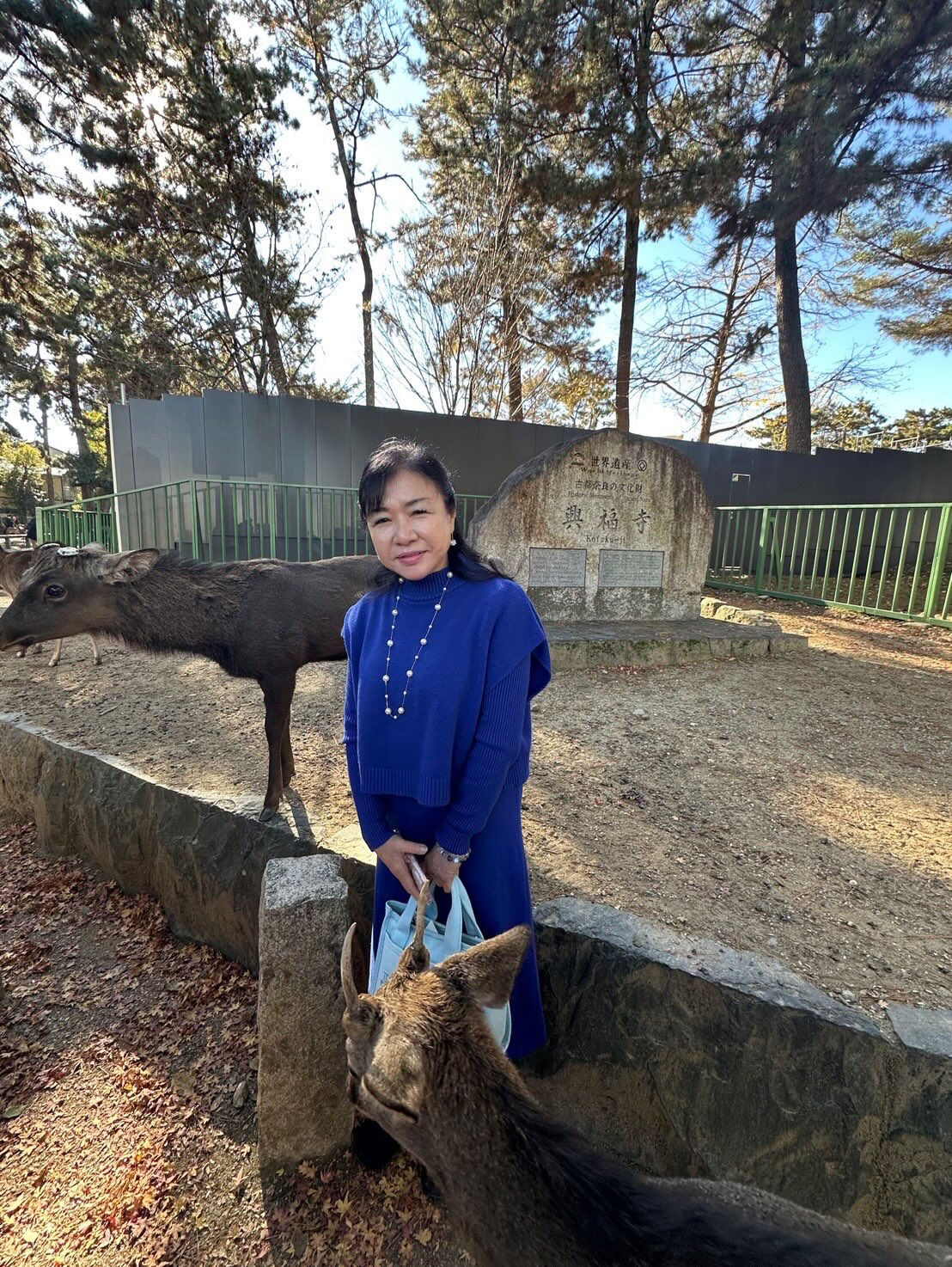 最強のパワースポット興福寺へ