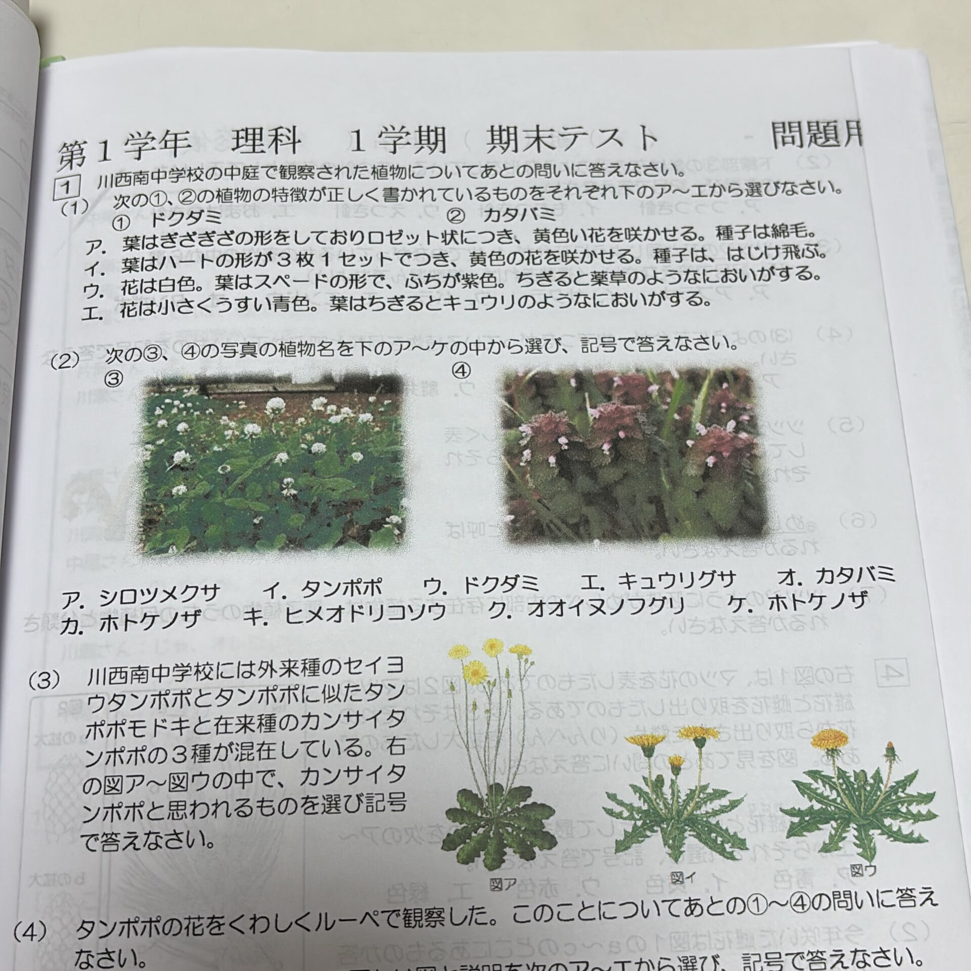 とうとうテストもカラーに！川西南